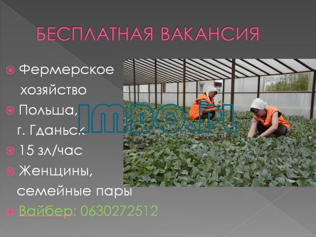 Рабочие на фермерское хозяйство